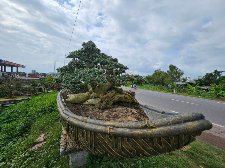 Cu duoi tram tuoi tren quoc lo, dai gia khong no luot qua-Hinh-11