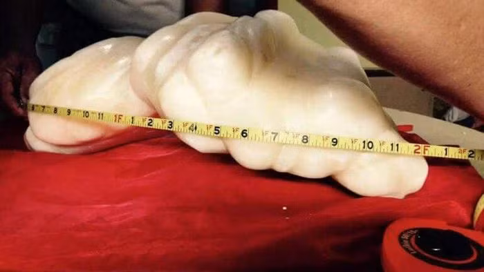 Di danh ca dung trung tang da la, ai ngo bau vat nghin ty-Hinh-4