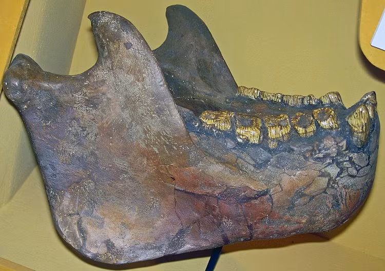 Bi an cai chet cua loai khi khong lo gan 300 nghin nam truoc-Hinh-3