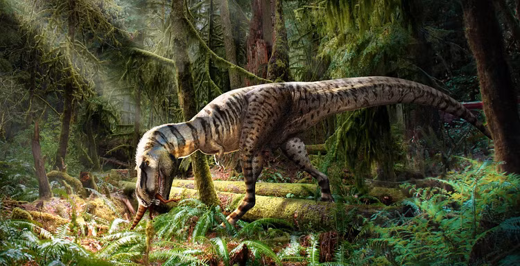 Soi bung khung long bao chua, chuyen gia sung sot thay thu nay-Hinh-5