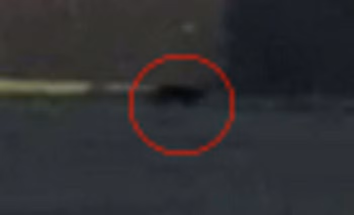 Di choi vung nong thon, bat ngo thay quai thu lon von tren dong