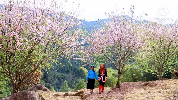 Những lớp học đặc biệt giữa rừng đêm miền biên viễn - Hình 8 Nhung lop hoc dac biet giua rung dem mien bien vien-Hinh-8