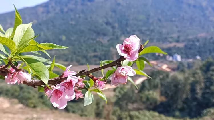 Những lớp học đặc biệt giữa rừng đêm miền biên viễn - Hình 7 Nhung lop hoc dac biet giua rung dem mien bien vien-Hinh-7