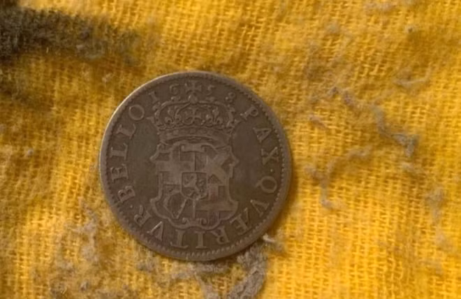 Don dep quan ruou, tinh co dung trung “kho bau” quy hiem bi lang quen-Hinh-3