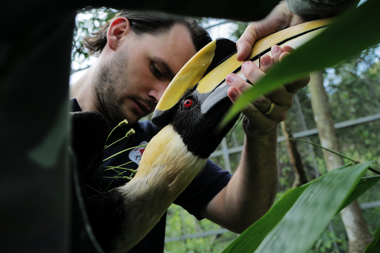 Tai tha 2 ca the hong hoang: Loai “linh dieu ha pham” hiem nhat VN!-Hinh-6