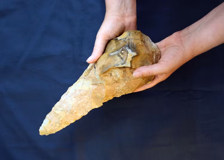 Bi an co vat khong lo 300.000 nam khien chuyen gia hoang mang-Hinh-8