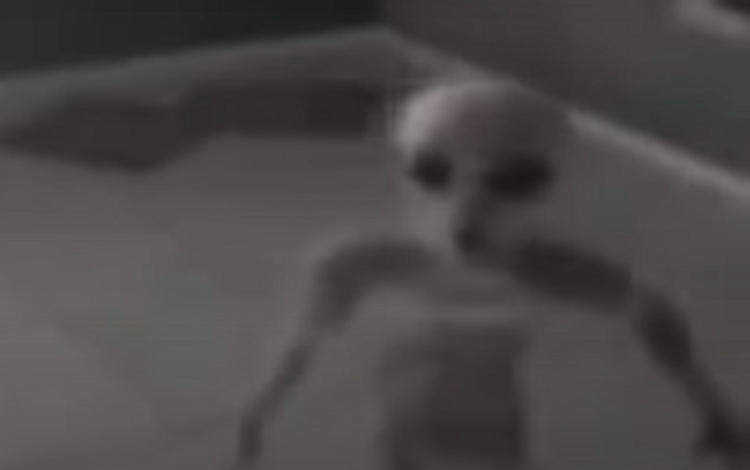 Lo clip nguoi ngoai hanh tinh bi bat giu, chuyen gia giai ma chan dong-Hinh-4