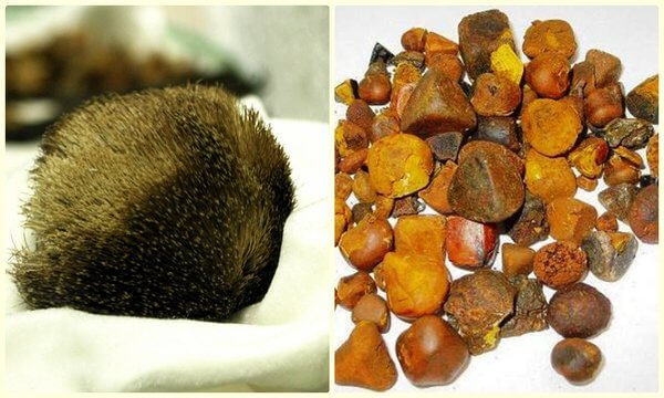 Mo bung ga thay “di vat”, nhieu nguoi tranh nhau tra gia hang chuc ty-Hinh-8