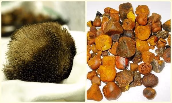 Mo bung ga thay “di vat”, nhieu nguoi tranh nhau tra gia hang chuc ty-Hinh-8