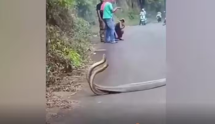 Dang di bo, soc nang thay cap doi “quai thu