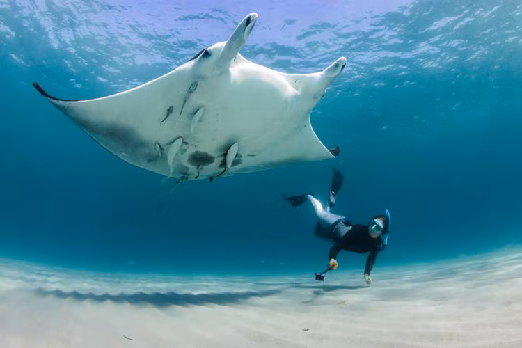 Ban “quai ngu” khung hon 1.000 kg, ngu dan khoc rong vi gap hoa-Hinh-3