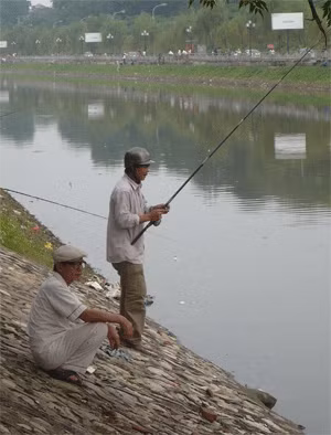Giai ma nhung lan song To Lich chuyen mau bat thuong-Hinh-8