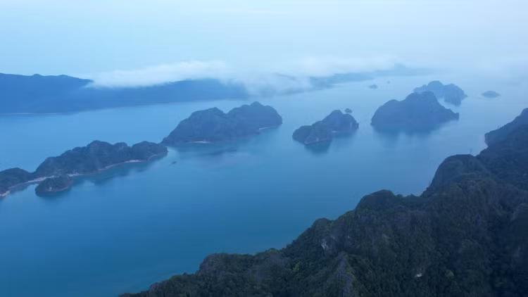 Loai cua moi phat hien o Viet Nam: The gioi chua tung biet den!-Hinh-4