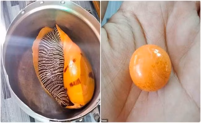 Phat hien ngoc quy khi nau an, nguoi phu nu doi doi trong nhay mat-Hinh-3