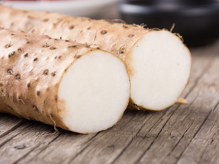 Loai cu trong xu xi duoc vi “nhan sam binh dan”, Viet Nam co nhieu!-Hinh-8