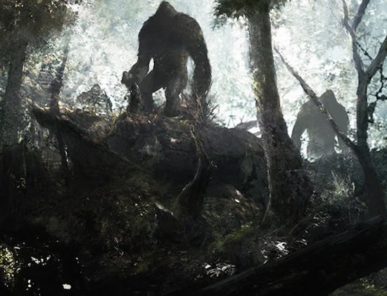 Lanh song lung nhung bi an ron nguoi trong rung gia Amazon-Hinh-2