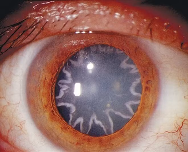 8 buc anh doc - hiem phai chiem nguong it nhat mot lan trong doi-Hinh-8