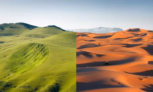 Top su that it biet ve the gioi, nghe xong ai cung giat minh-Hinh-7