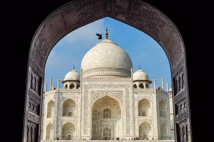 Nhung canh cong than bi bi khoa chat, chon giau su that ngan nam-Hinh-3