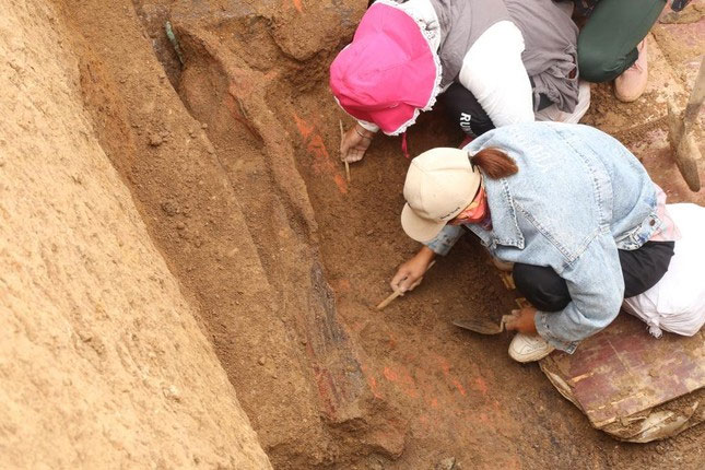 Thay chat long la chay ra tu mo co, chuyen gia ho 'chay ngay di'-Hinh-7