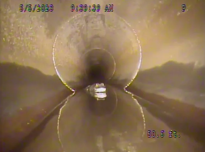 That kinh phat hien 'quai vat' trong ong thoat nuoc day bun dat-Hinh-4