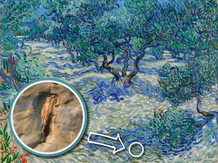 Giai ma bi an tram nam trong buc tranh cua Van Gogh-Hinh-6