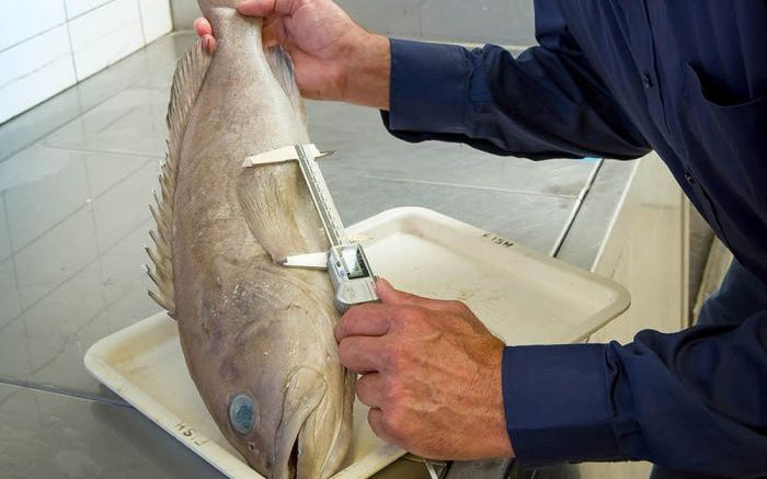 Di cau ca cung con trai, het hon dung trung 'quai ngu' khong lo-Hinh-5