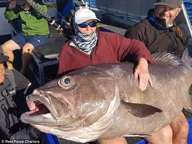 Di cau ca cung con trai, het hon dung trung 'quai ngu' khong lo-Hinh-2