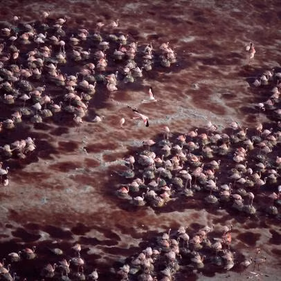 Ho nuoc rung ron nhat hanh tinh, cham vao la hoa da-Hinh-6