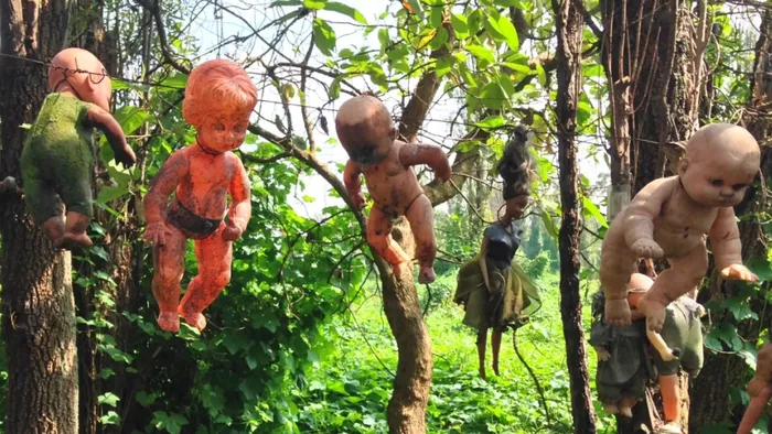 Am anh su that ben trong hon dao dang so nhat hanh tinh-Hinh-7