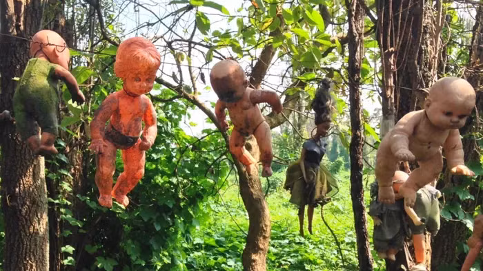 Am anh su that ben trong hon dao dang so nhat hanh tinh-Hinh-7