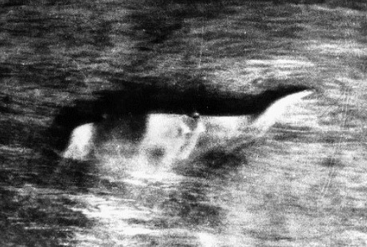 Đi dạo bờ sông, vô tình bắt gặp phiên bản quái vật hồ Loch Ness - Hình 4 Di dao bo song, vo tinh bat gap phien ban quai vat ho Loch Ness-Hinh-4