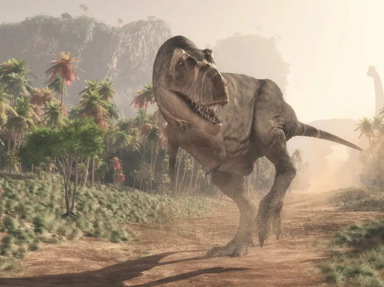 Su that it biet ve loai khung long an thit dang so nhat hanh tinh-Hinh-4