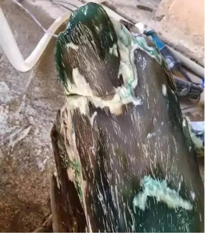 Nhat go muc ven duong, giat minh nhan ra la bau vat quy nhu vang