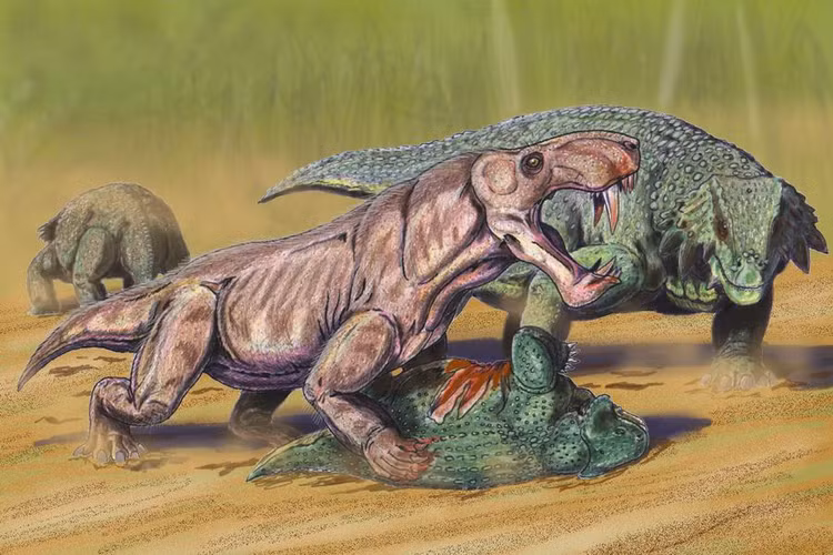 Tiet lo chan dong loai thong tri Trai dat truoc thoi khung long-Hinh-10