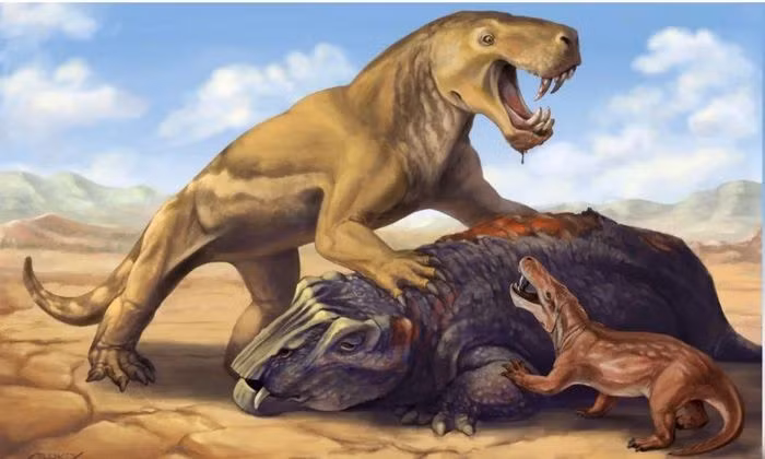 Tiet lo chan dong loai thong tri Trai dat truoc thoi khung long-Hinh-2