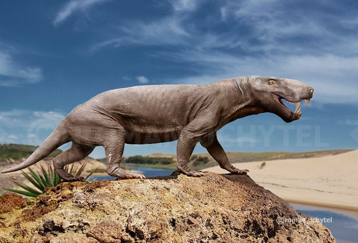 Tiet lo chan dong loai thong tri Trai dat truoc thoi khung long-Hinh-4