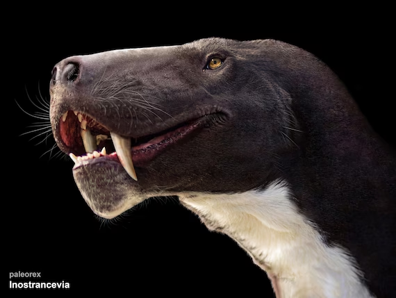 Tiet lo chan dong loai thong tri Trai dat truoc thoi khung long