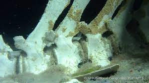 Kham pha dai duong Nam Cuc, ca nghia dia ca voi bat ngo lo ra-Hinh-5