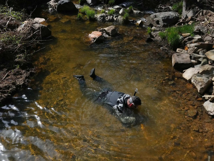 “Kho bau” lo ra sau con mua ky luc, con sot “san vang” tro lai-Hinh-5