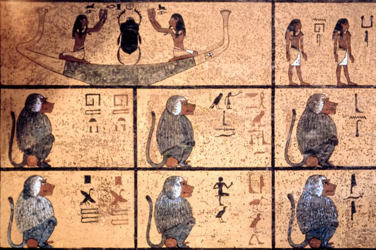 Phat hien xac uop khong phai con nguoi, lo su that vung dat huyen thoai-Hinh-9