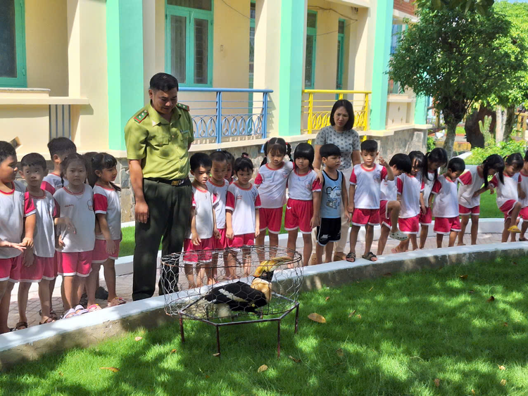 Chim hong hoang xuat hien o Bien Hoa hiem co nao?-Hinh-2