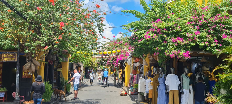 Me man gian hoa giay, su quan tu o “thi tran dep nhat the gioi“-Hinh-3