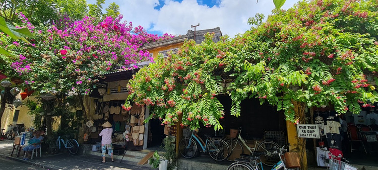 Me man gian hoa giay, su quan tu o “thi tran dep nhat the gioi“-Hinh-10