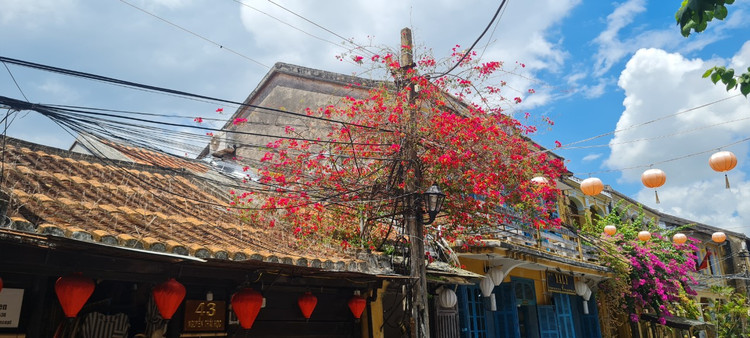 Me man gian hoa giay, su quan tu o “thi tran dep nhat the gioi“-Hinh-5