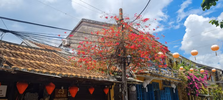 Me man gian hoa giay, su quan tu o “thi tran dep nhat the gioi“-Hinh-5