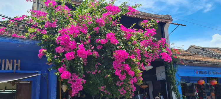 Me man gian hoa giay, su quan tu o “thi tran dep nhat the gioi“-Hinh-8