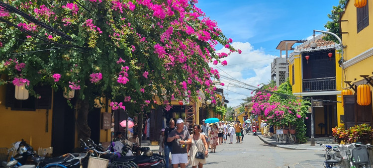 Me man gian hoa giay, su quan tu o “thi tran dep nhat the gioi“