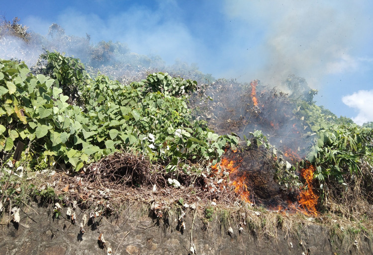 Chay rung Hai Van, huy dong 150 nguoi dap lua: Thiet hai the nao?