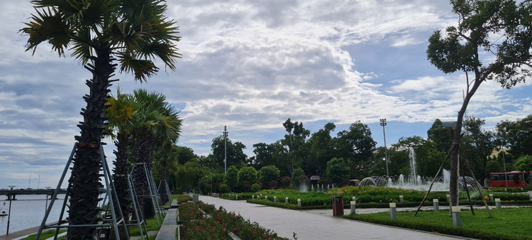 Chiem nguong cau go lim “bac ty” doc nhat Viet Nam-Hinh-9